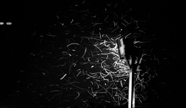 A swarm of insects blurred in motion at dusk