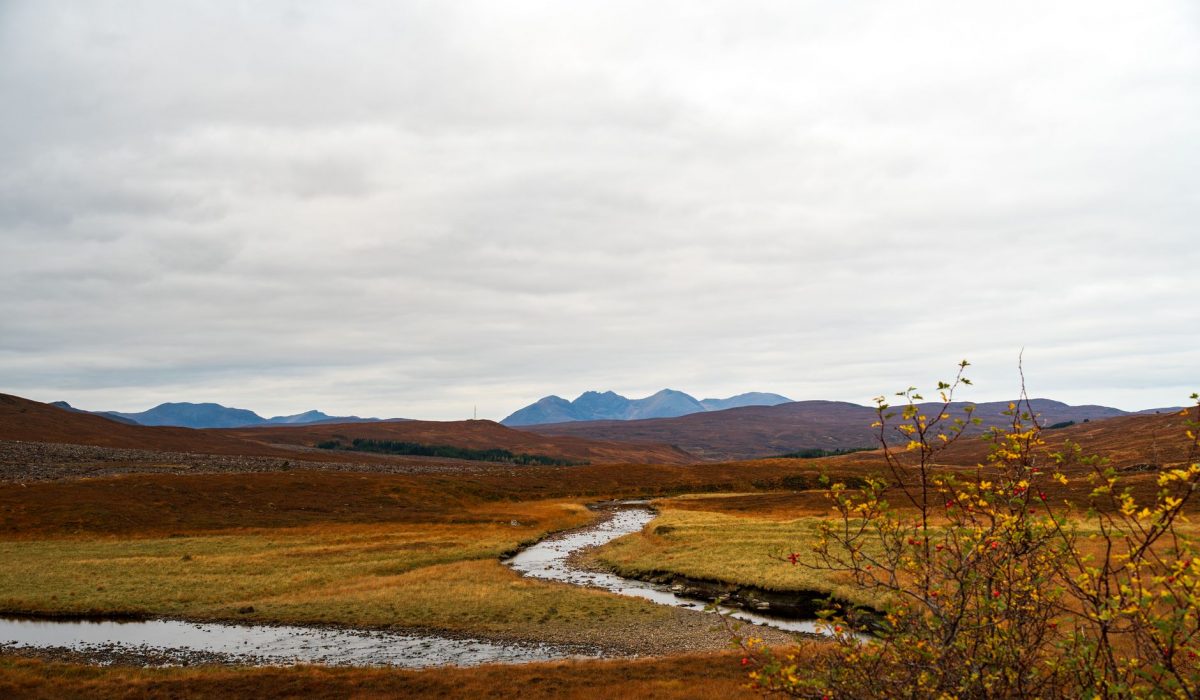 Highland moorland with a winding stream in autumn