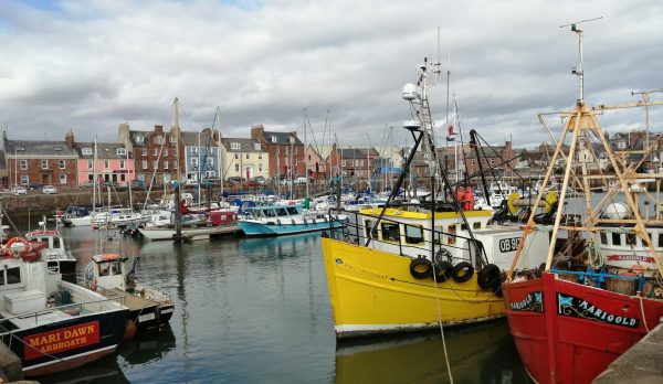 Colorful fishing boats docked in the picturesque Arbroath harbour, Scotland