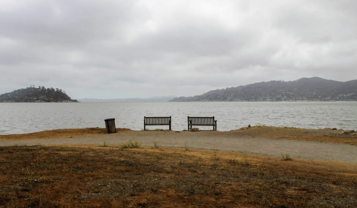 Empty benches by the water under an overcast sky