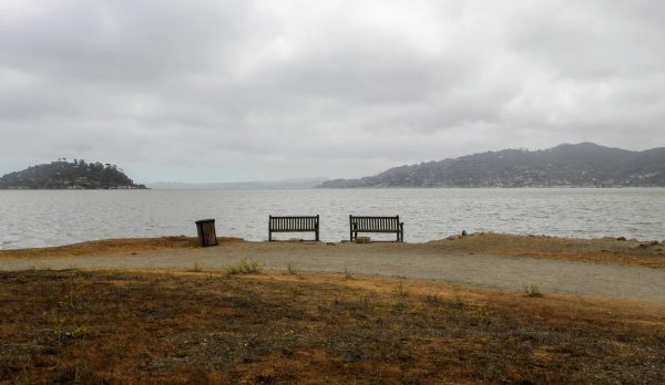 Empty benches by the water under an overcast sky
