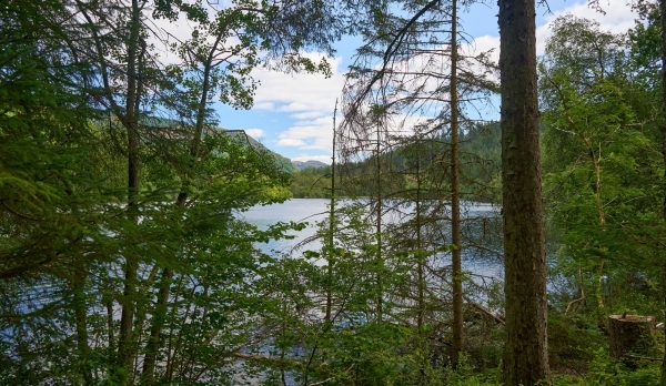 Tranquil summer scene of Loch Ard surrounded by lush forest in Scotland
