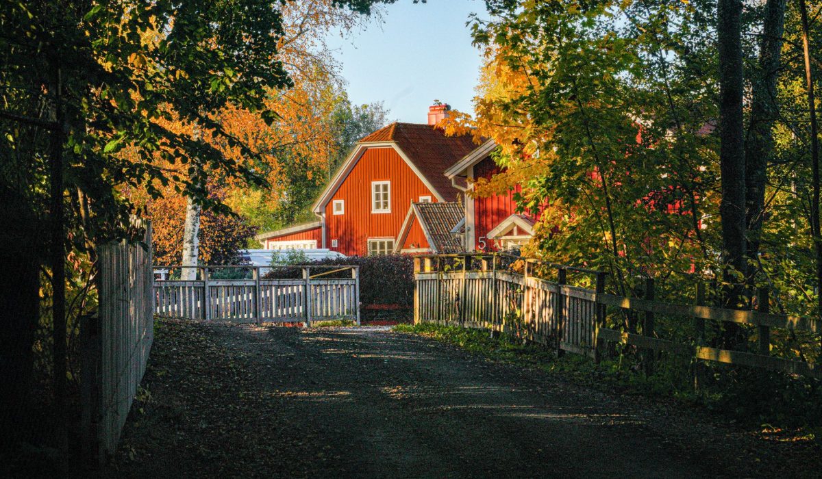 A cottage at the end of an empty tree-lined path
